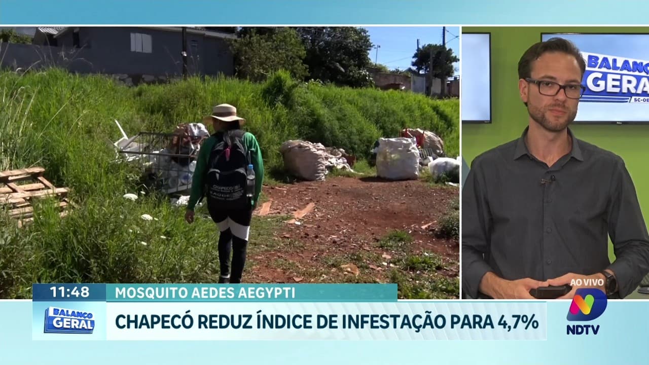 Chapecó registra queda no Aedes e reforça combate