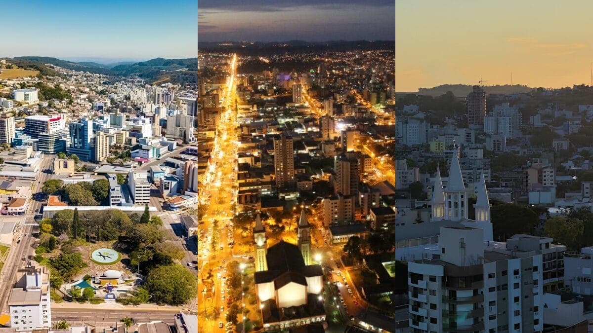 Oeste de SC: Chapecó e região lideram ranking de riqueza no agronegócio impulsionada pela suinocultura