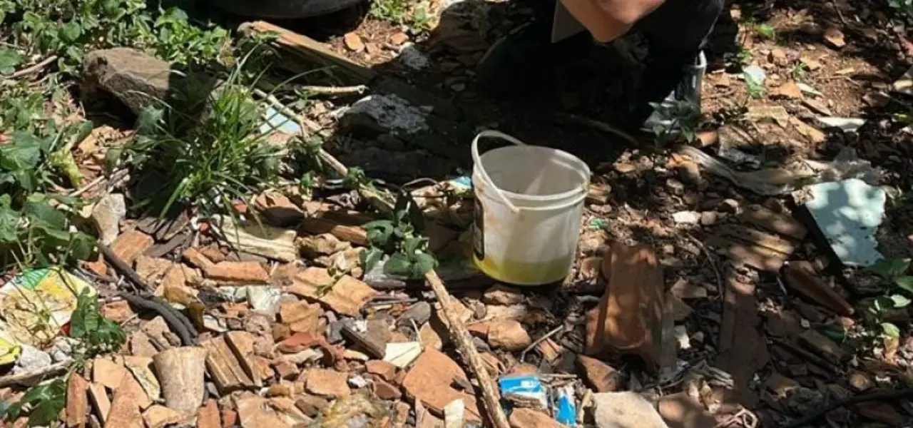 Força-tarefa intensifica o combate à dengue em Chapecó - Visor Notícias